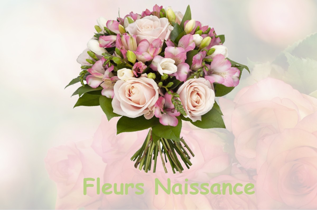 fleurs naissance SAINT-HILAIRE-D-ESTISSAC
